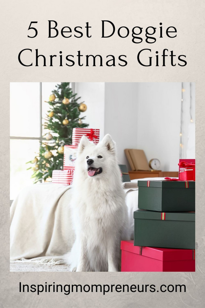 doggie-christmas-gifts
