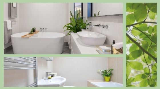 create an eco-friendly bathroom