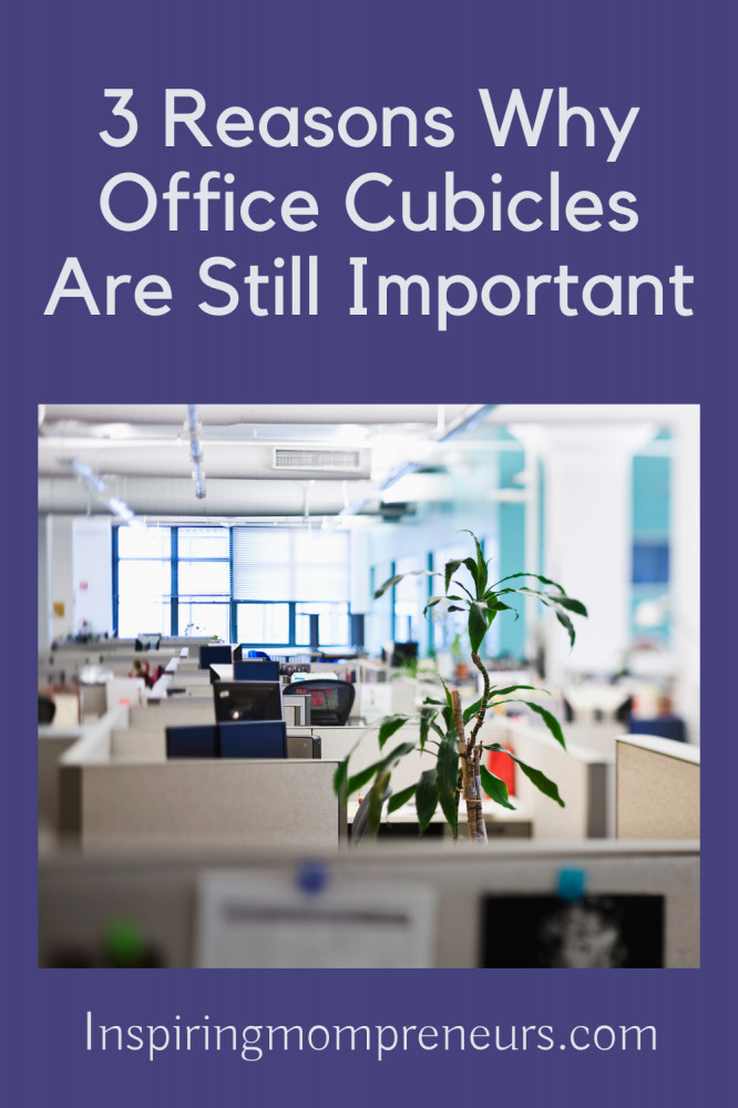 why office cubicles are still important