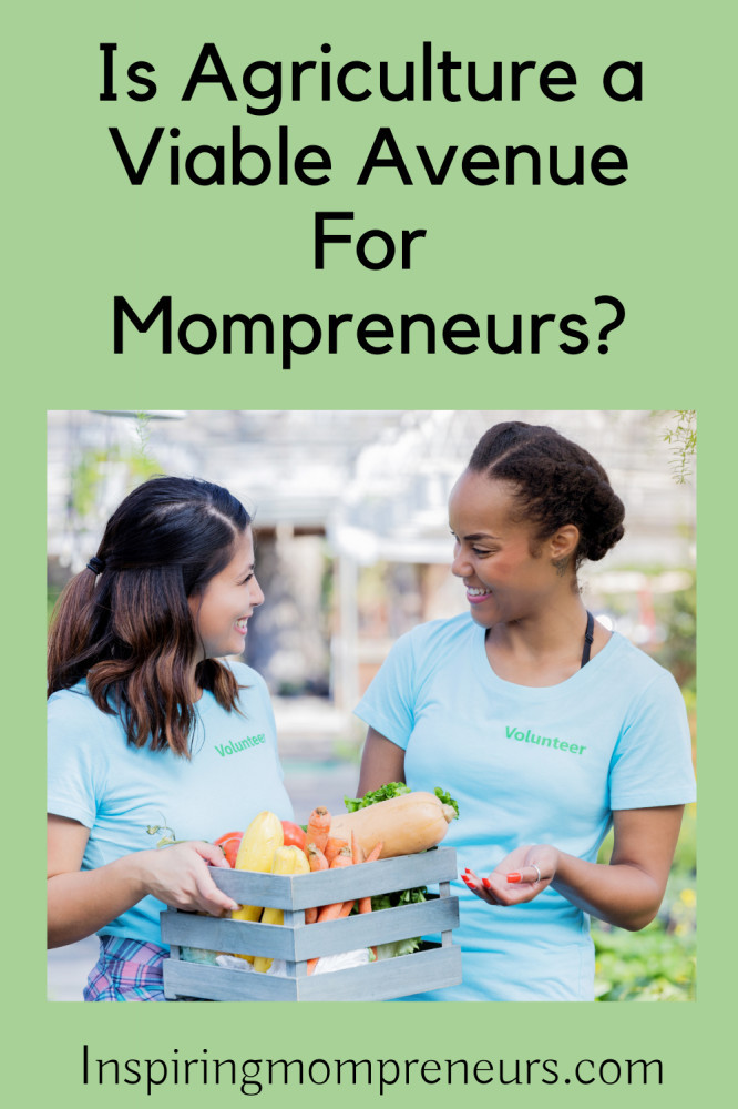 agriculture a viable avenue for mompreneurs